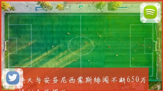 热火与安芬尼西蒙斯绯闻不断650万特例未获报价