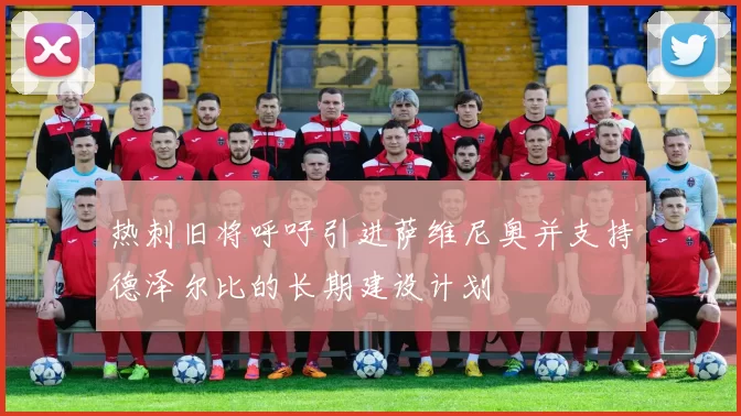 热刺旧将呼吁引进萨维尼奥并支持德泽尔比的长期建设计划